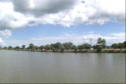 Panoramica dos Lagos da Avenida Jo