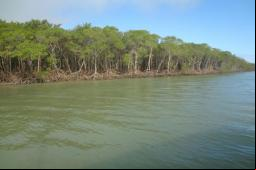 Rio Peru