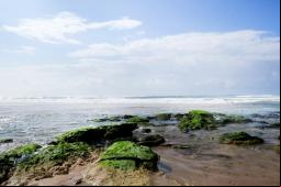 Praia de Ipitanga - Foto: Pousada Praia de Ipitanga