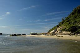 Praia de Brejatuba - Foto: Priscila Forone