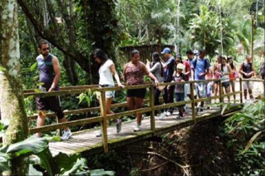 Trilha no Parque Municipal de Macei
