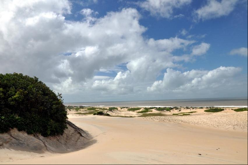 Parque Estadual de Itaunas (Concei