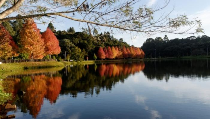 Lago em S