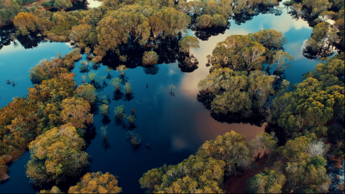 Pantanal - Credito: Revista Times