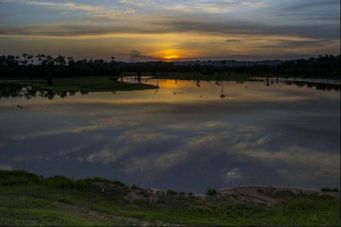 Lago Remanso do Boto (Manaus) Foto: Paulo Cattelan (Licen